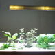 Image for article titled Click and Grow Smart Farm Review: Idiot-Proof Indoor Farming